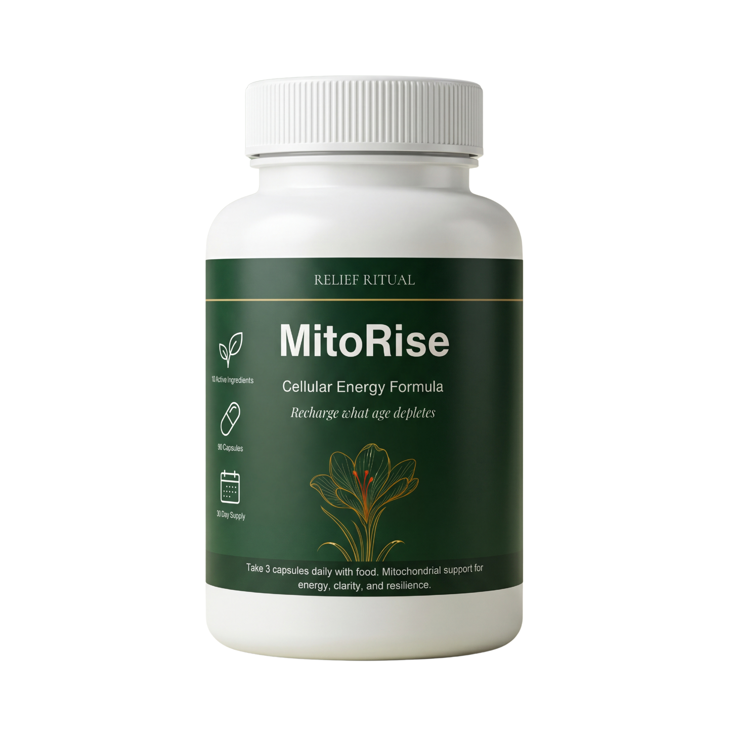 MitoRise